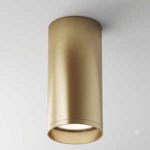 DDL-FL008G | Потлочный накладной светильник DANILIGHT GU10