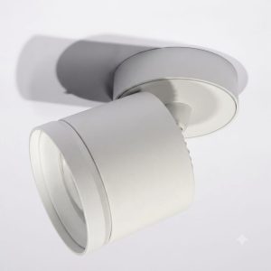DP007-1LW | Потолочный поворотный накладной светильник DANILIGHT GX53