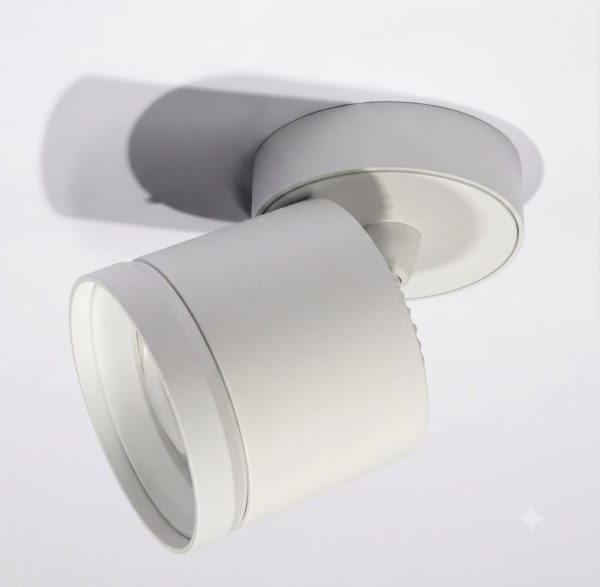 DP007-1LW | Потолочный поворотный накладной светильник DANILIGHT GX53