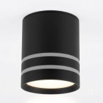 DP489-2LB | Потолочный накладной светильник DANILIGHT GX53