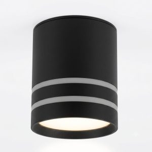 DP489-2LB | Потолочный накладной светильник DANILIGHT GX53