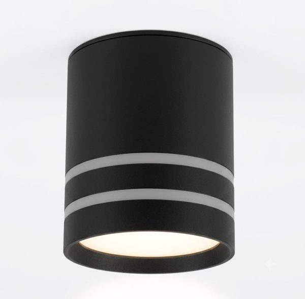 DP489-2LB | Потолочный накладной светильник DANILIGHT GX53