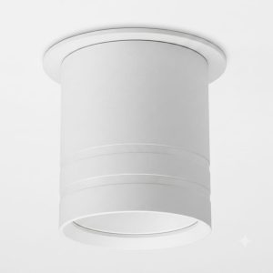 DP489-2LW | Потолочный накладной светильник DANILIGHT GX53