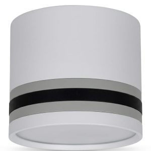 DP492-S-WH | Потолочный накладной светильник DANILIGHT GX53